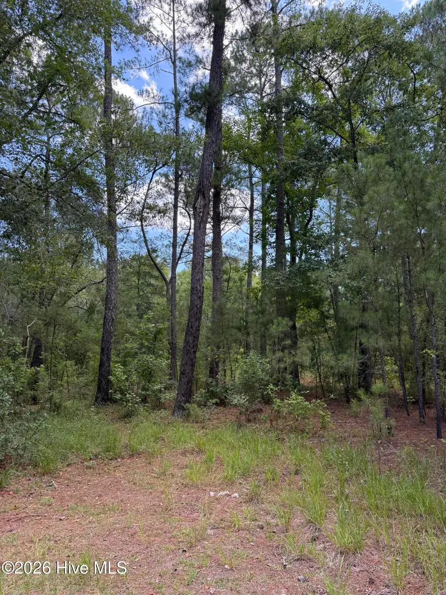 532 Old Hoover Bridge Road, Elizabethtown, NC 28337 - #3