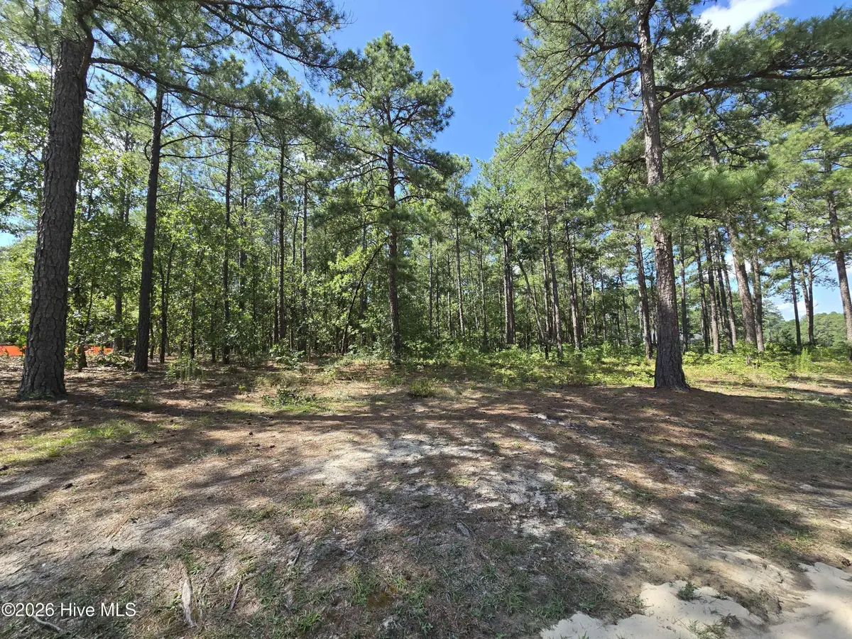 Tbd Peach Orchard Road, Wagram, NC 28396 - #1