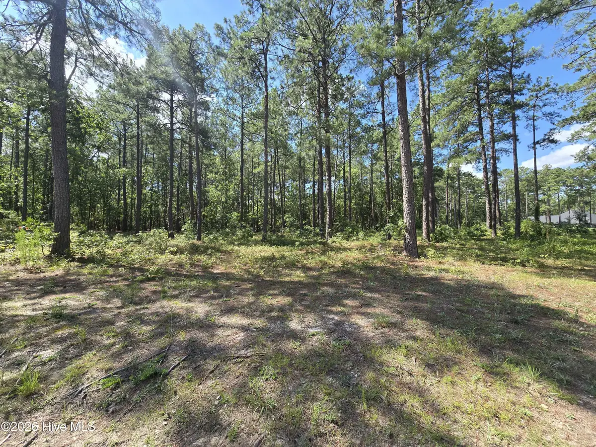 Tbd Peach Orchard Road, Wagram, NC 28396 - #1