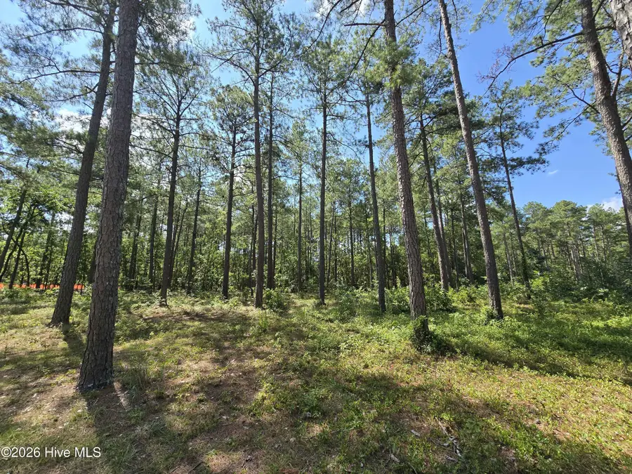 Tbd Peach Orchard Road, Wagram, NC 28396 - #2