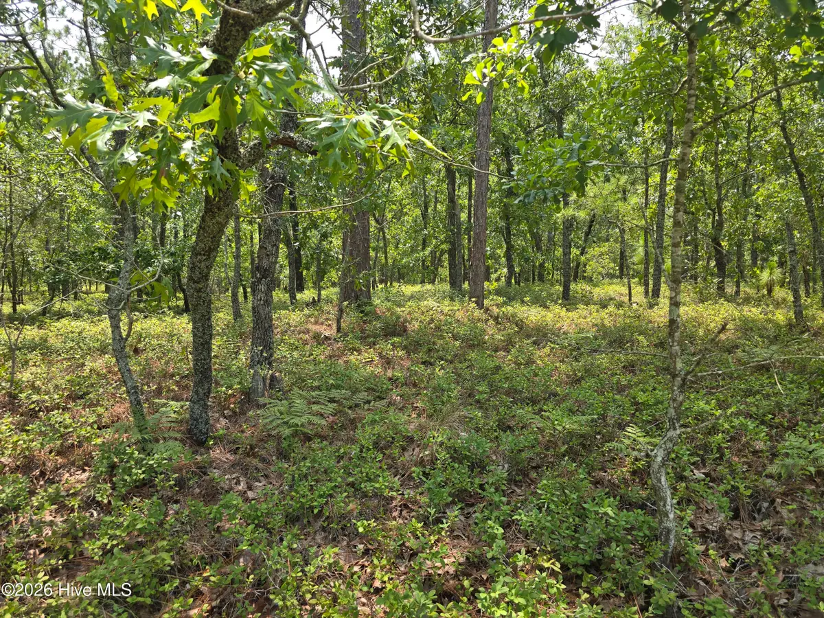 Lot 10 Woola Woola Lane, Grantsboro, NC 28529 - #1
