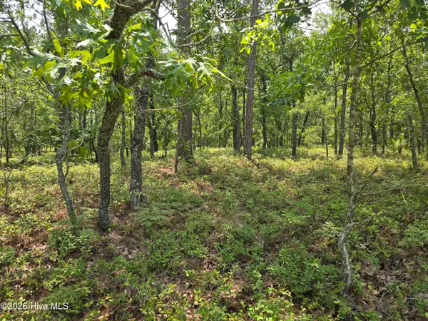 Lot 10 Woola Woola Lane, Grantsboro, NC 28529