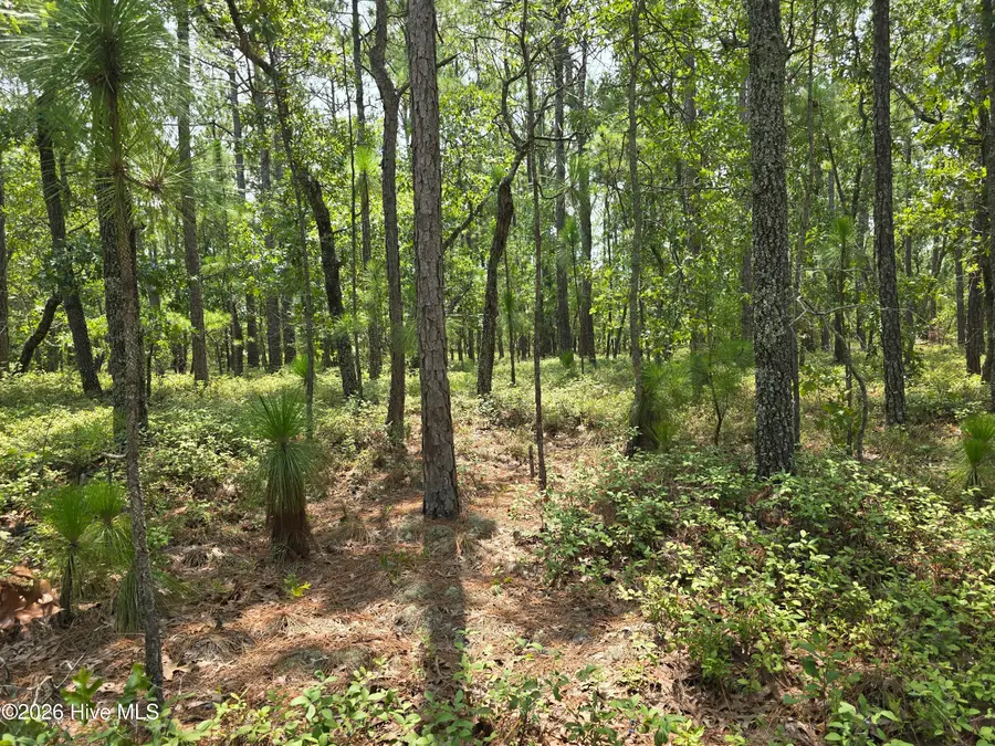 Lot 10 Woola Woola Lane, Grantsboro, NC 28529 - #2