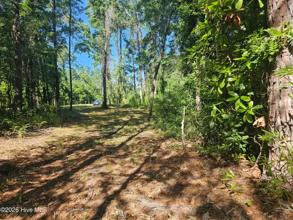 4278 Us 117 Highway S, Burgaw, NC 28425