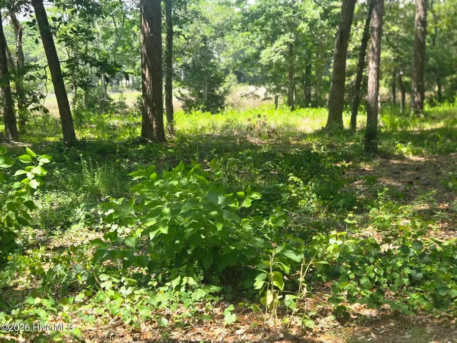 3179 Mullet Creek Place Se, Bolivia, NC 28422 - #3