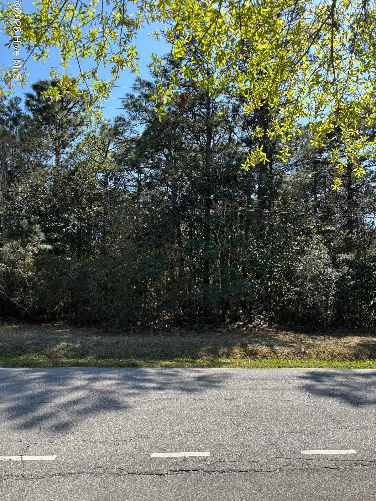 7134 Masonboro Sound Road, Wilmington, NC 28409 - #1