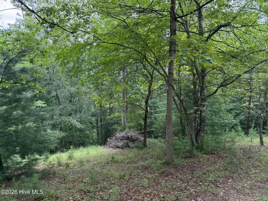Address Withheld By Seller, Murphy, NC 28906 - #2