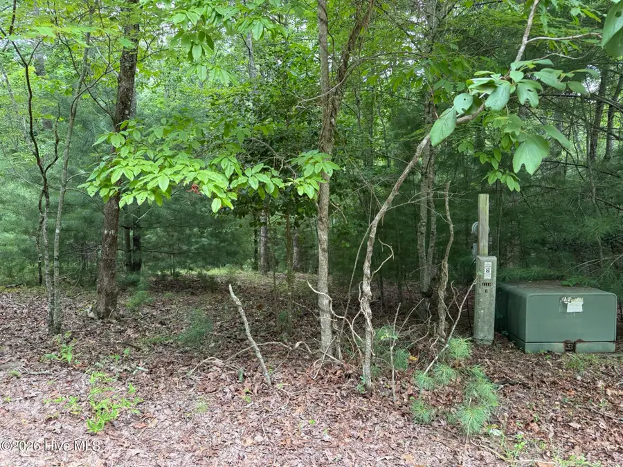 Address Withheld By Seller, Murphy, NC 28906 - #3