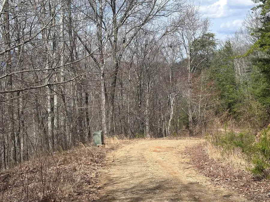 Tbd Pack Mountain Road, Murphy, NC 28906 - #2