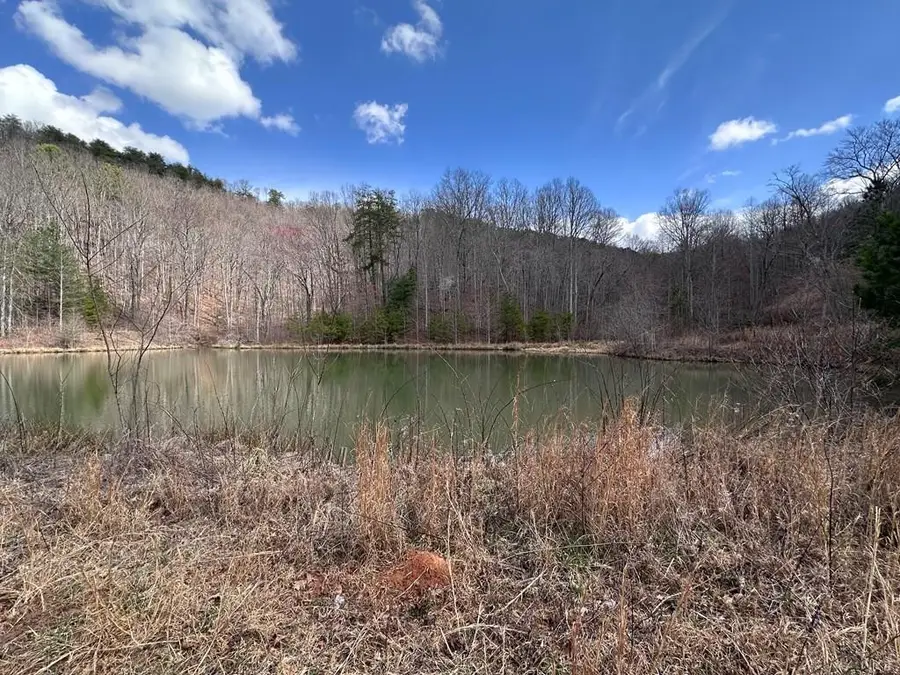 Tbd Pack Mountain Road, Murphy, NC 28906 - #3