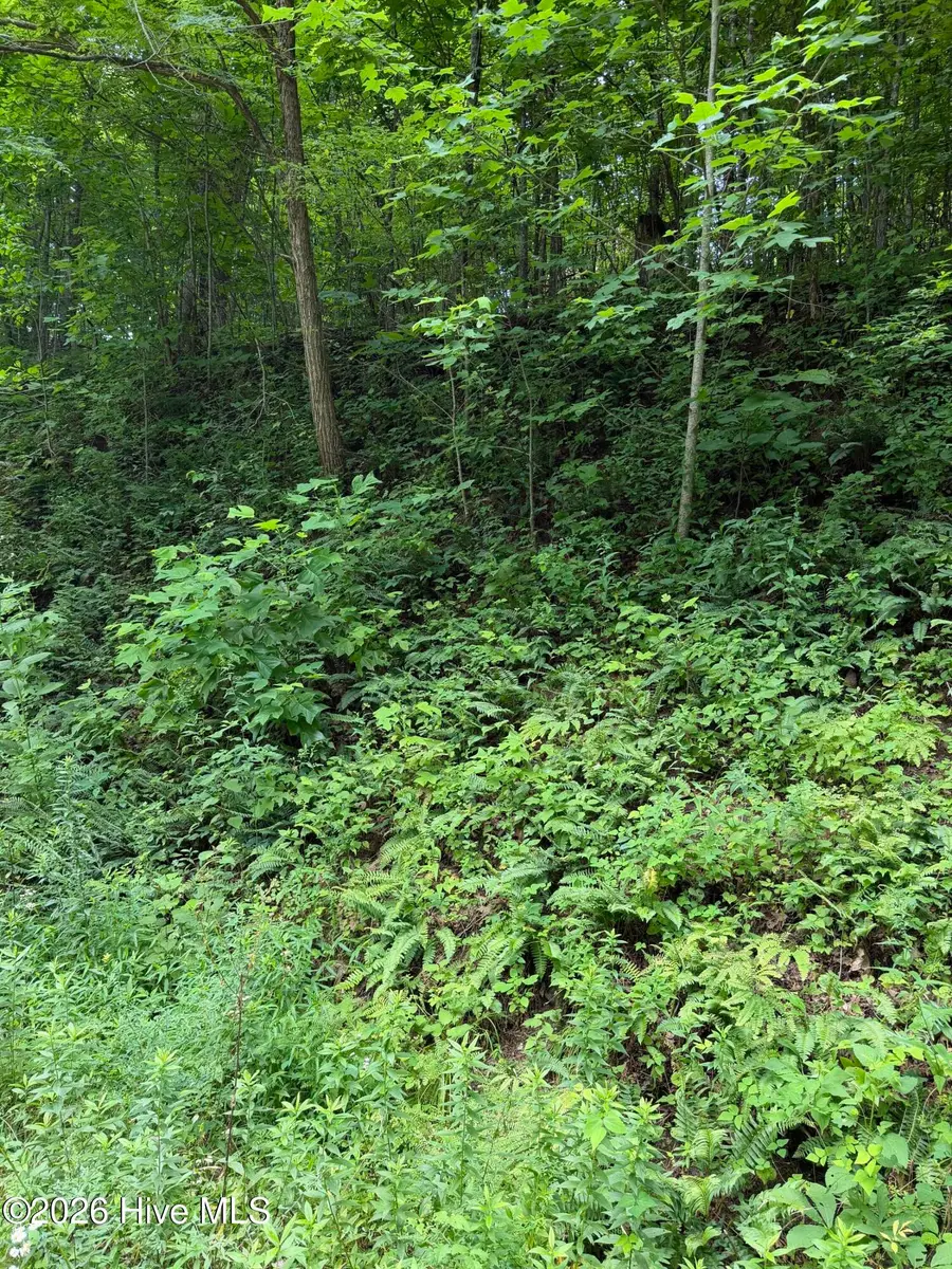 Lot 4 Outlook Road, Murphy, NC 28906 - #2