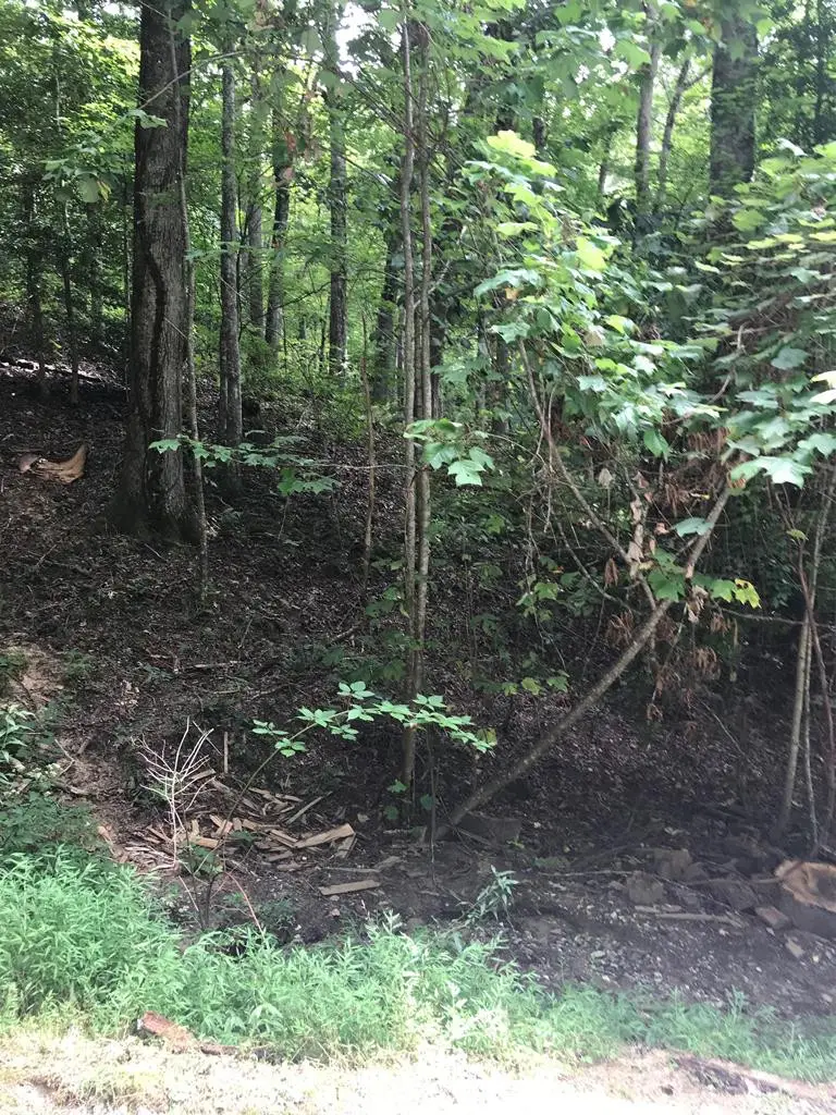 Lot 8 Vista Loop Road Road, Topton, NC 28781 - #1