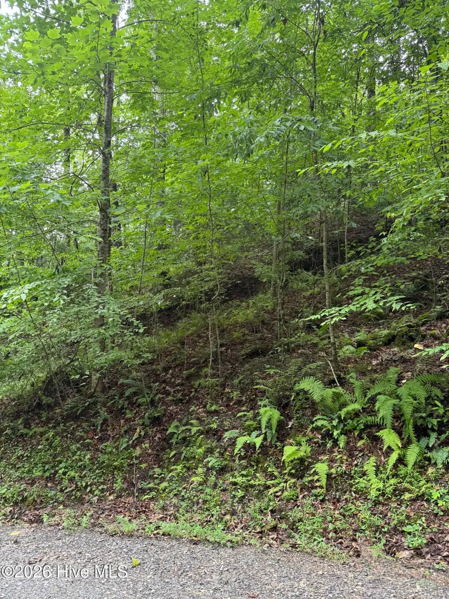 Lot 8 Vista Loop Road Road, Topton, NC 28781 - #3