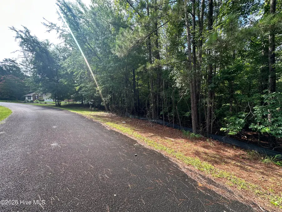 B15 L26 Blair Lane, McCormick, SC 29835 - #2
