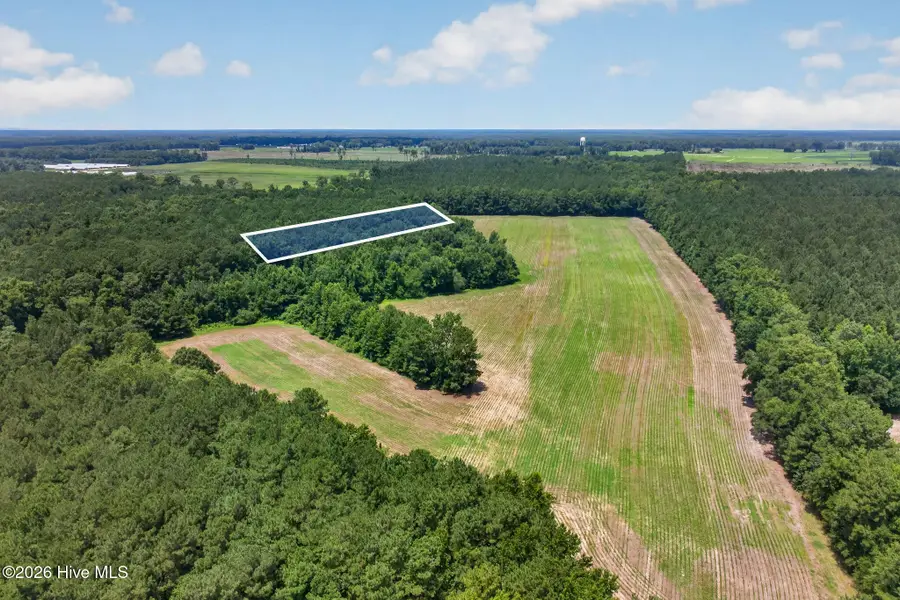 1 Acre Off Laura Hill Drive, Clarkton, NC 28433 - #3