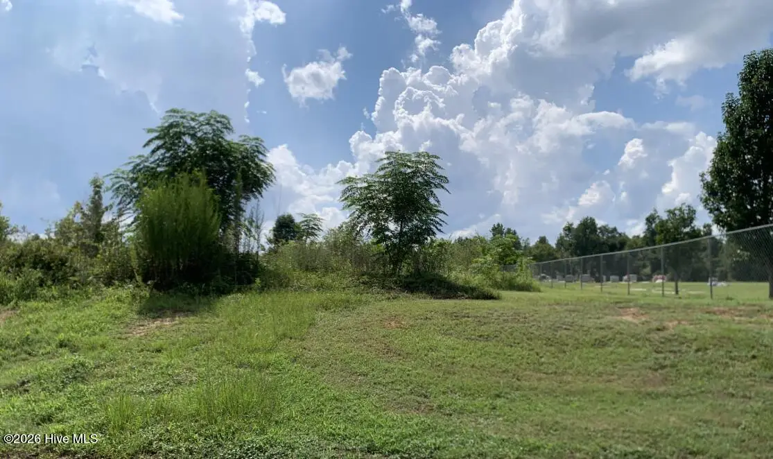 Lot 1 Murphy Street, Midville, GA 30441 - #1