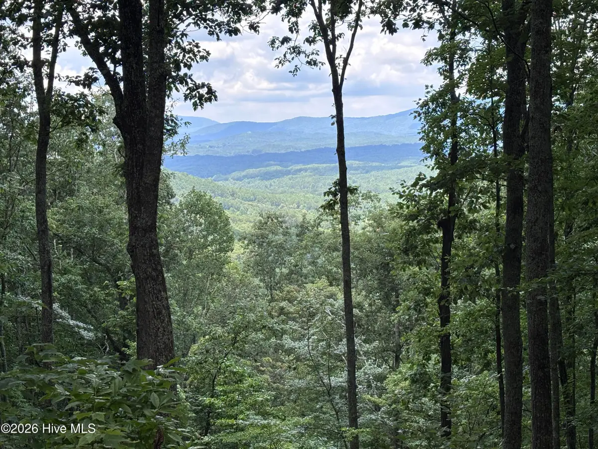 Lot 169 Wilderness Creek Way, Murphy, NC 28906 - #1