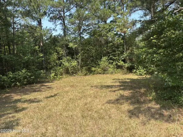 1721 Small Town Road, Pink Hill, NC 28572