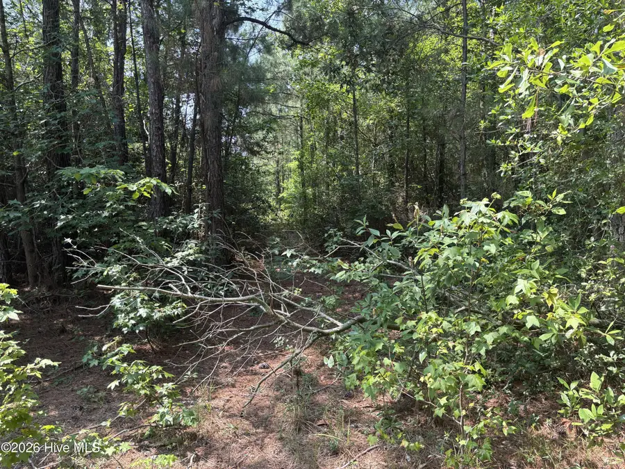 1721 Small Town Road, Pink Hill, NC 28572 - #3
