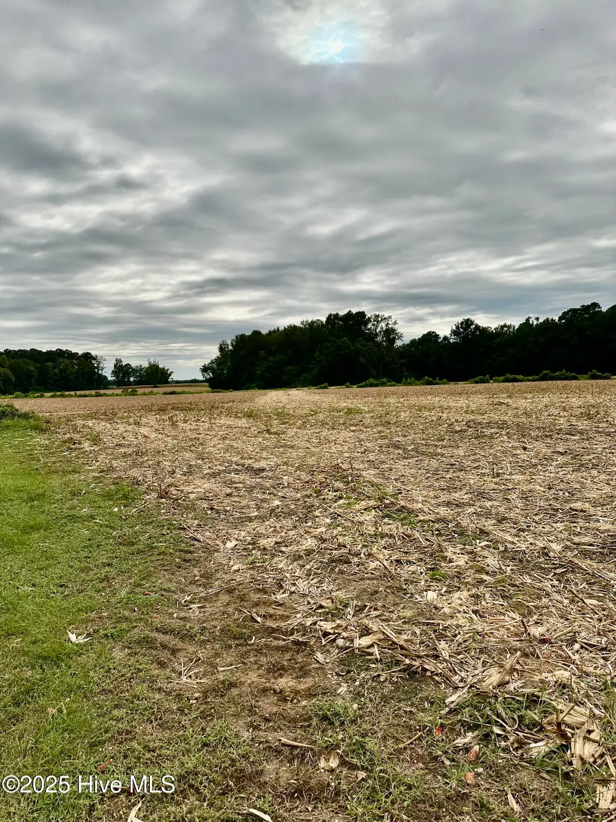 644 Cherry Town Road, Hallsboro, NC 28442 - #1