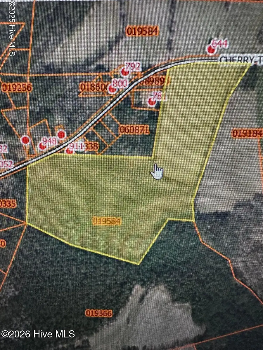 644 Cherry Town Road, Hallsboro, NC 28442 - #3