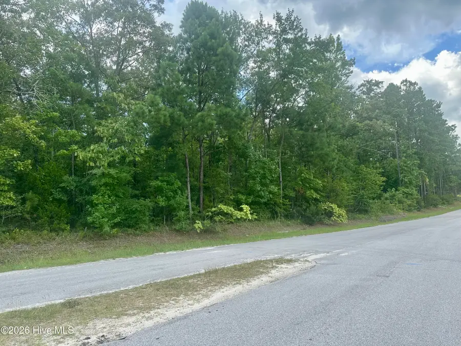 Tbd Wetherington Landing Road, Stella, NC 28582 - #2