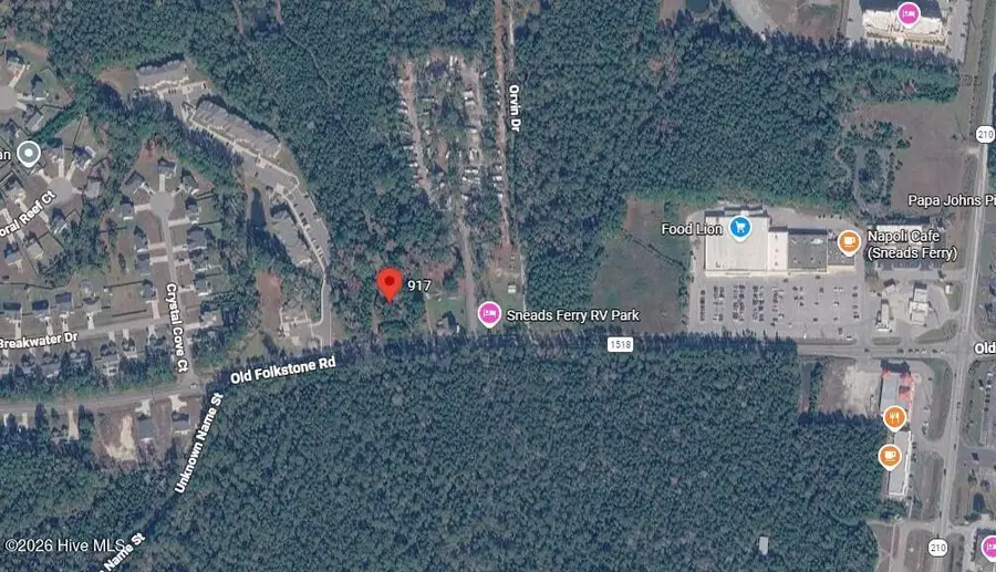 917 Old Folkstone Road, Sneads Ferry, NC 28460 - #2