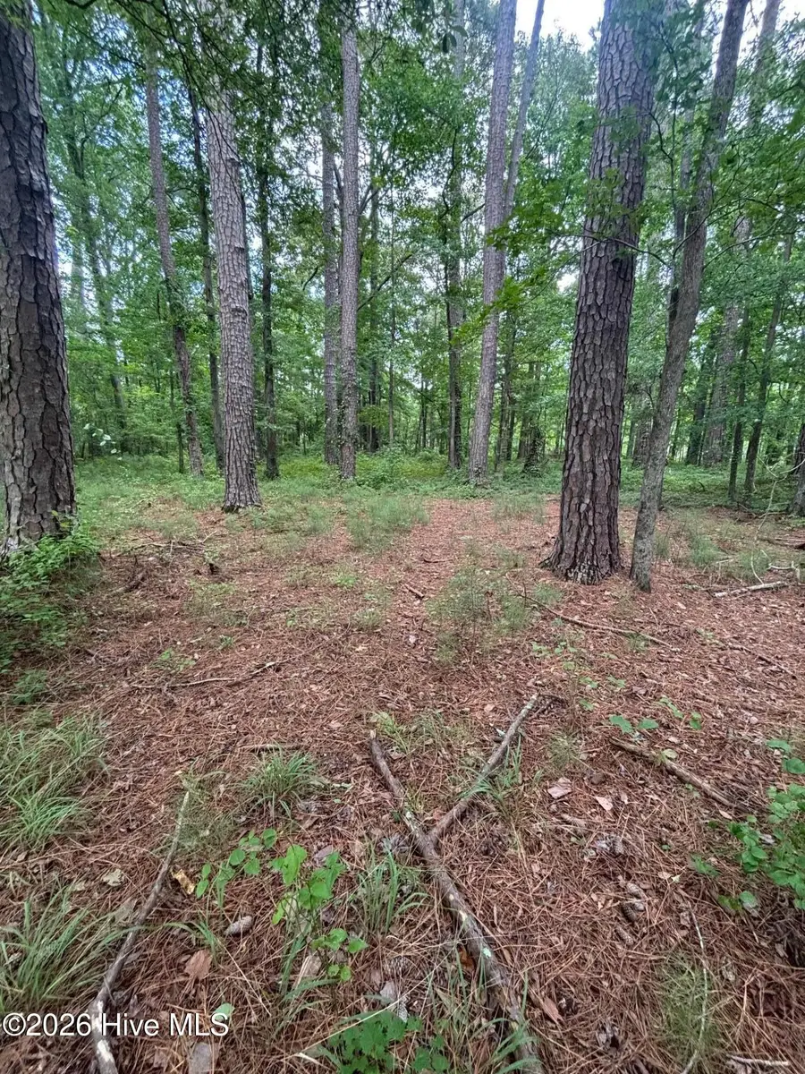 0 Winfield Lane, Pinetown, NC 27865 - #3