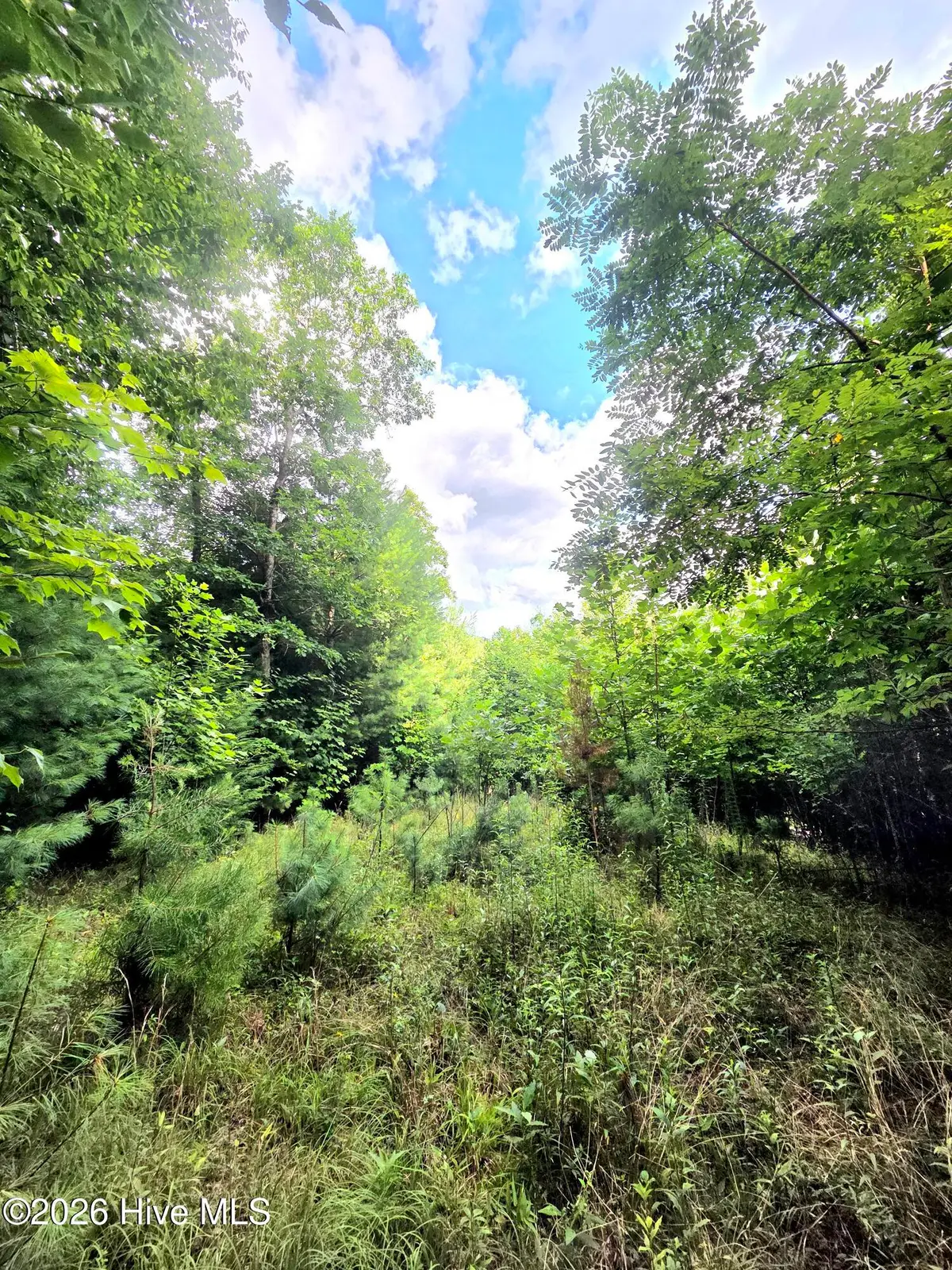 50 Camp Branch Road, Topton, NC 28781 - #1