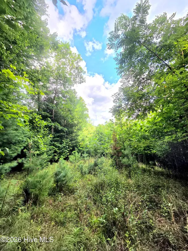50 Camp Branch Road, Topton, NC 28781