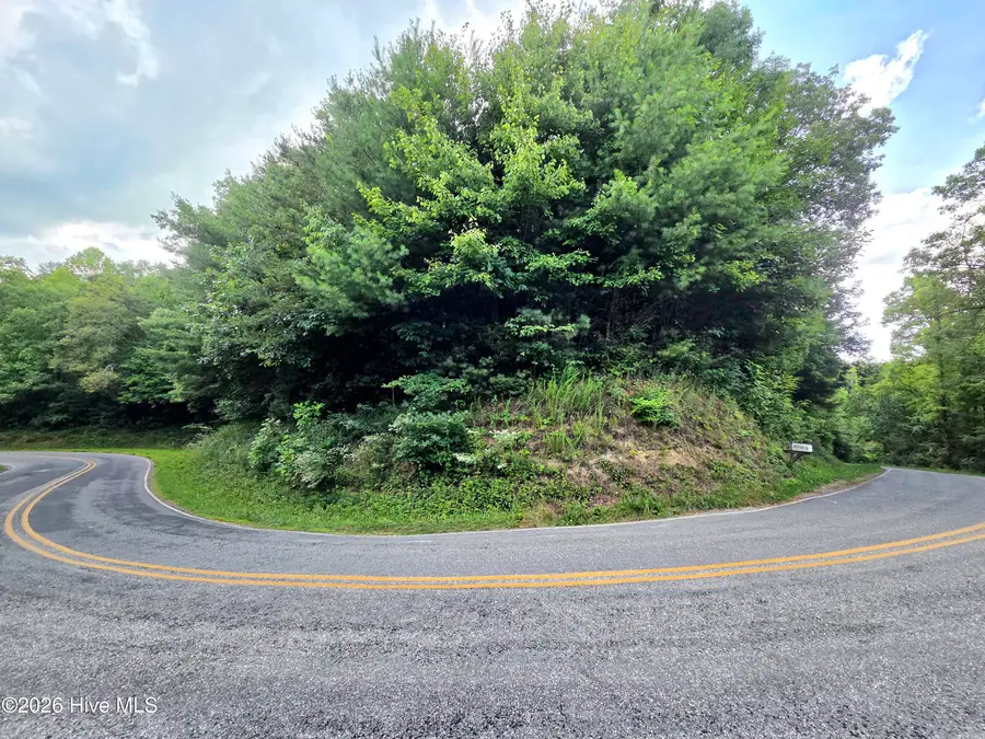 50 Camp Branch Road, Topton, NC 28781 - #3