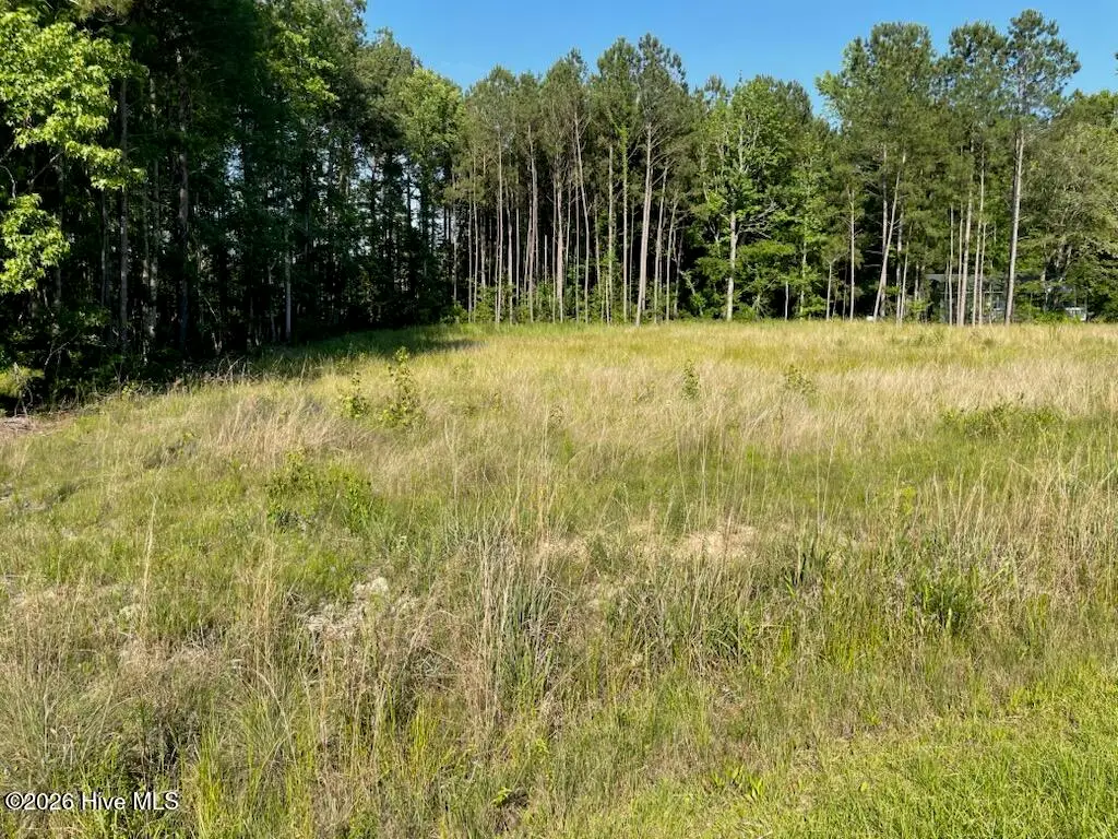0 Fennell Town Road, Rocky Point, NC 28457 - #1
