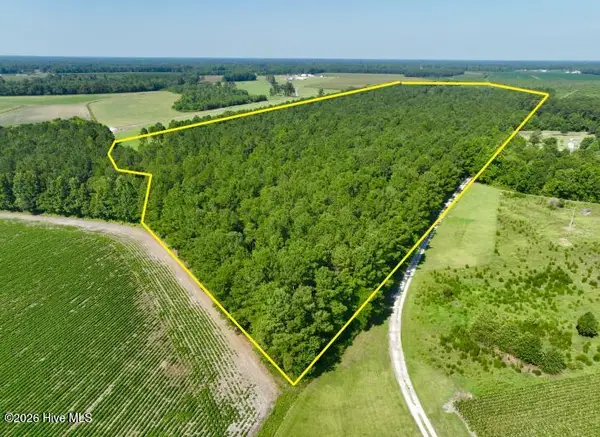 0 Cedar Fork Road, Beulaville, NC 28518