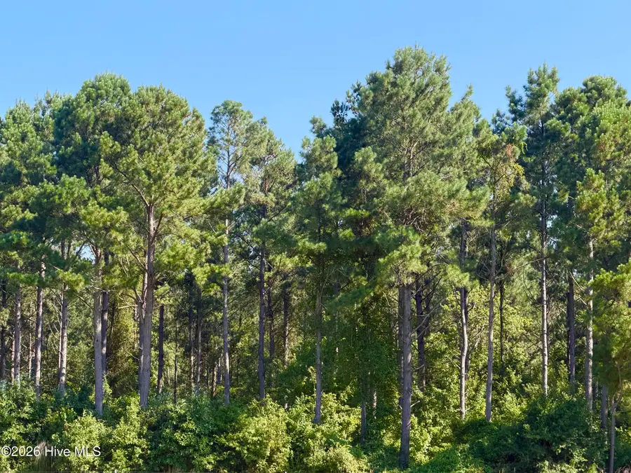 0 Cedar Fork Road, Beulaville, NC 28518 - #2