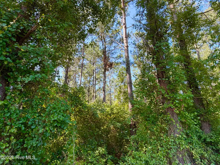 0 Cedar Fork Road, Beulaville, NC 28518 - #3