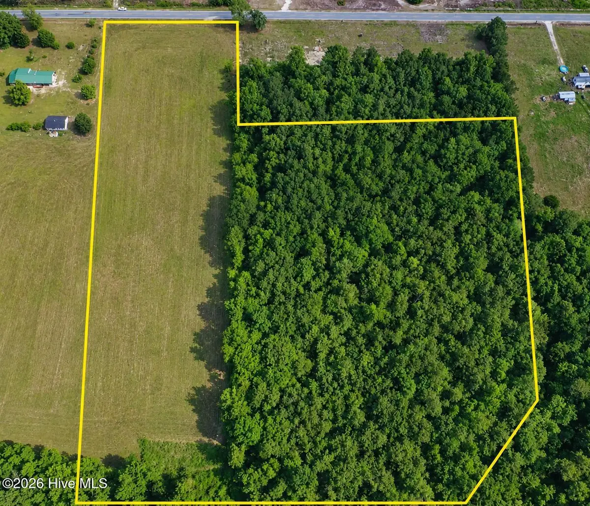 12 Ac Trinity Church Road, Magnolia, NC 28453 - #1