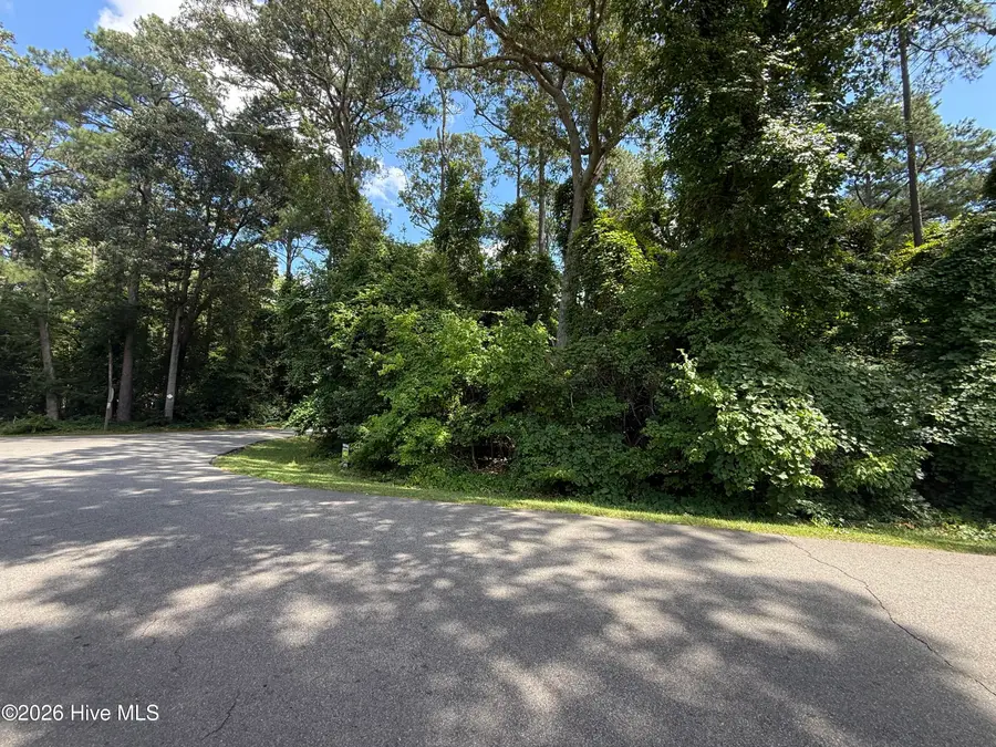 203 Cherokee Trail, Edenton, NC 27932 - #2