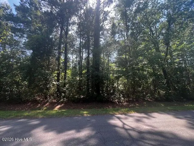 5710 Barbary Coast Drive, New Bern, NC 28560 - #1
