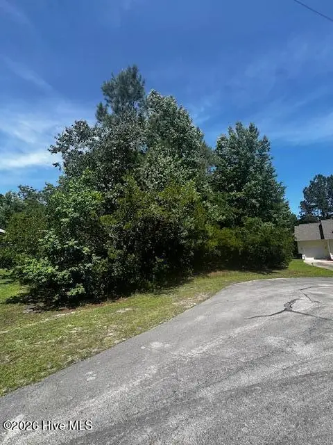 919 Hurricane Court, New Bern, NC 28560 - #1