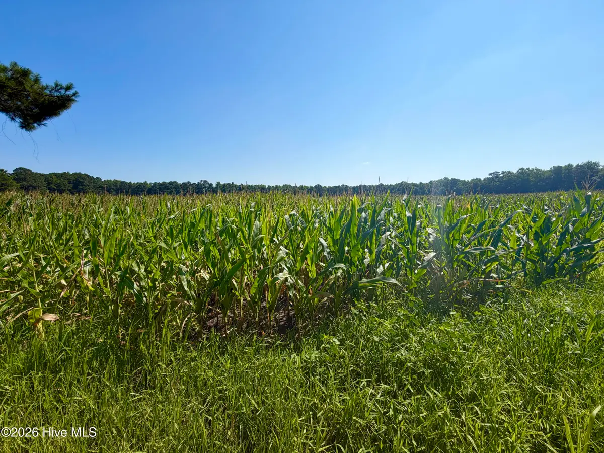 00 Cedar Fork Road, Beulaville, NC 28518 - #1