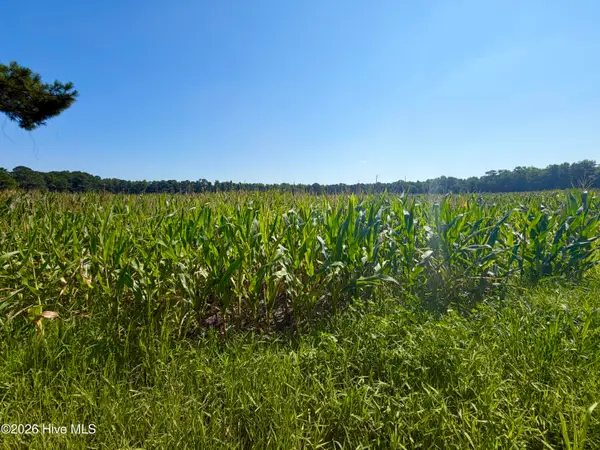 00 Cedar Fork Road, Beulaville, NC 28518