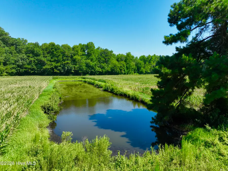 00 Cedar Fork Road, Beulaville, NC 28518 - #3