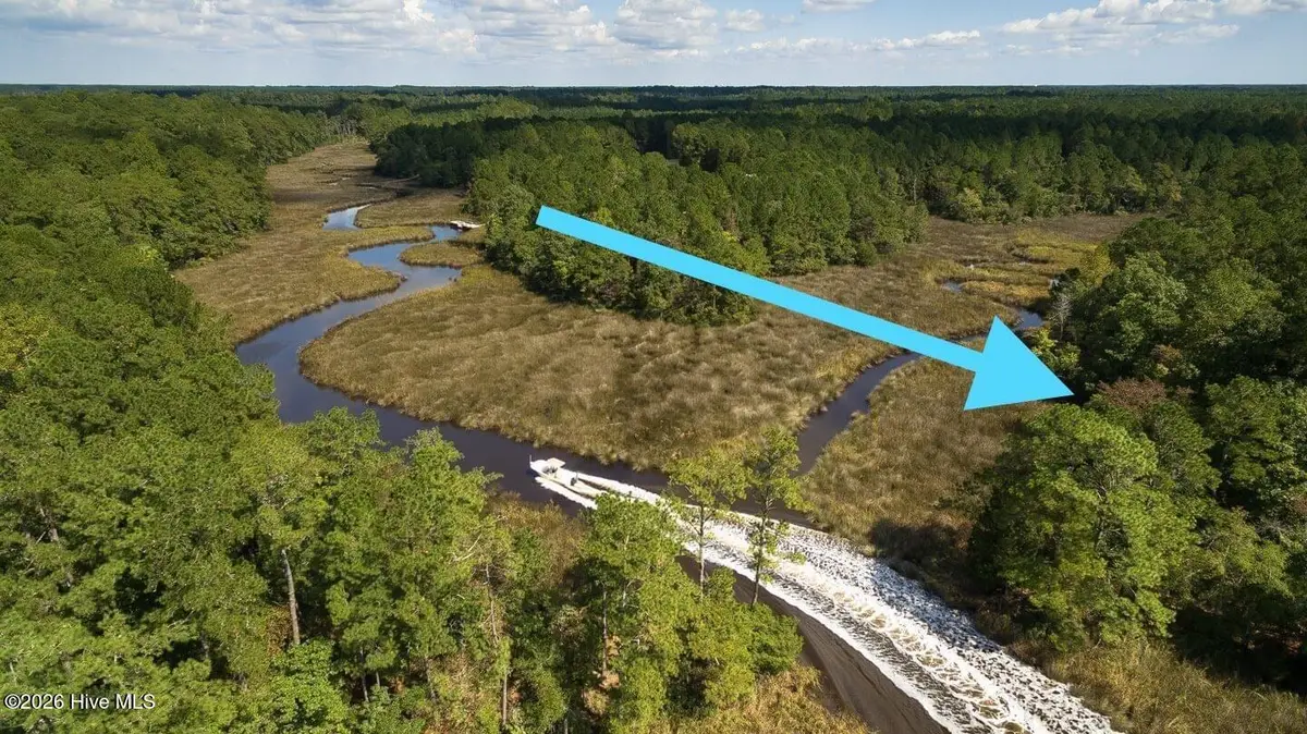 292 N Brightleaf Drive, Minnesott Beach, NC 28510 - #1