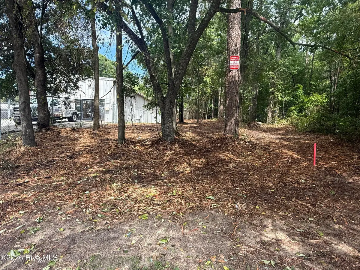 1217 S 15th Street, Wilmington, NC 28401 - #1
