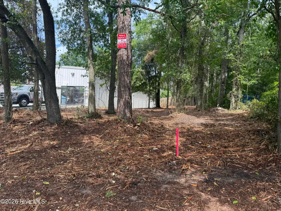 1217 S 15th Street, Wilmington, NC 28401 - #3