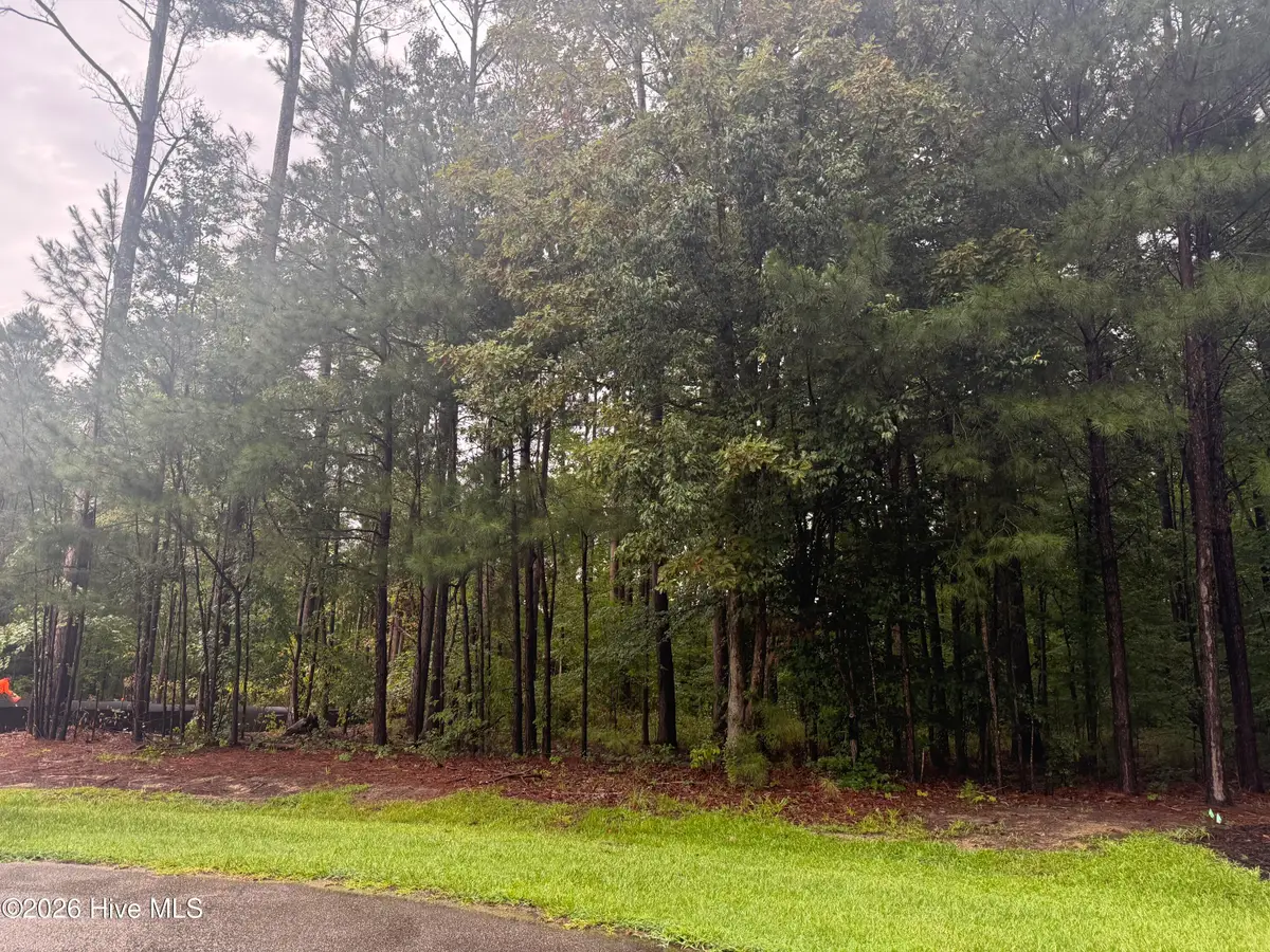 31 Bennetts Creek Drive Drive, Hertford, NC 27944 - #1