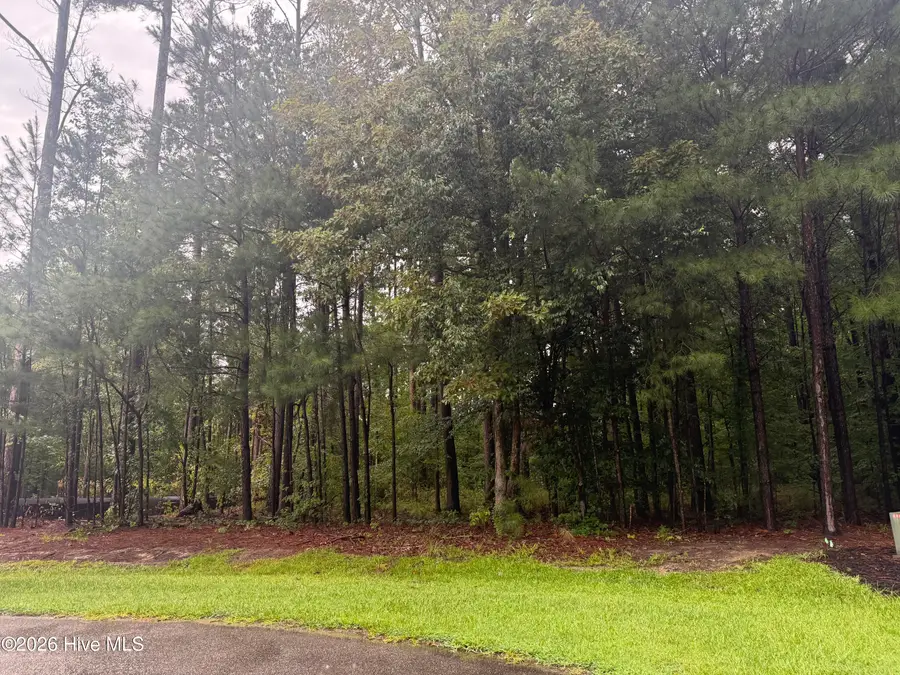 31 Bennetts Creek Drive Drive, Hertford, NC 27944 - #2