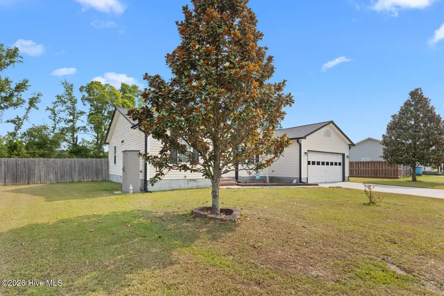 110 Pear Tree Lane, Richlands, NC 28574 - #3