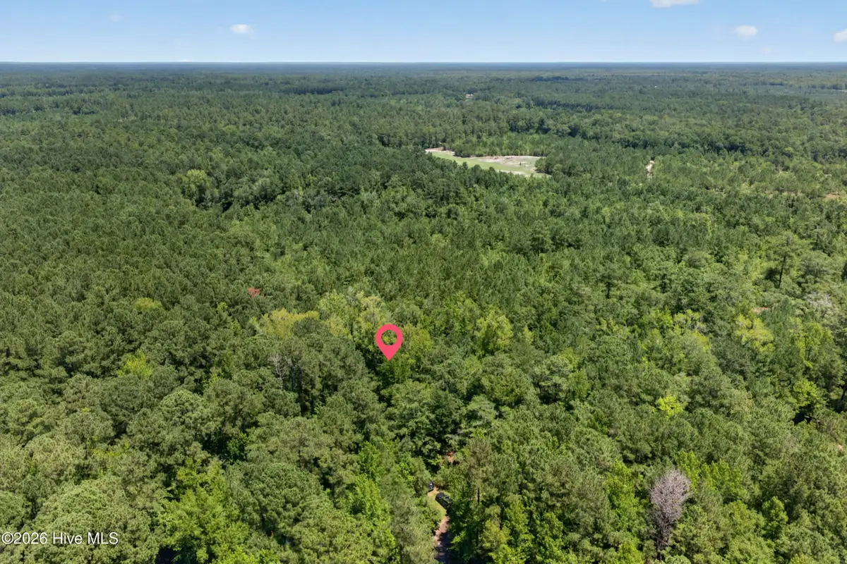 540 Copperhead Lane, Burgaw, NC 28425 - #1