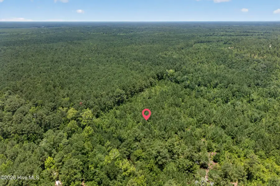 540 Copperhead Lane, Burgaw, NC 28425 - #3